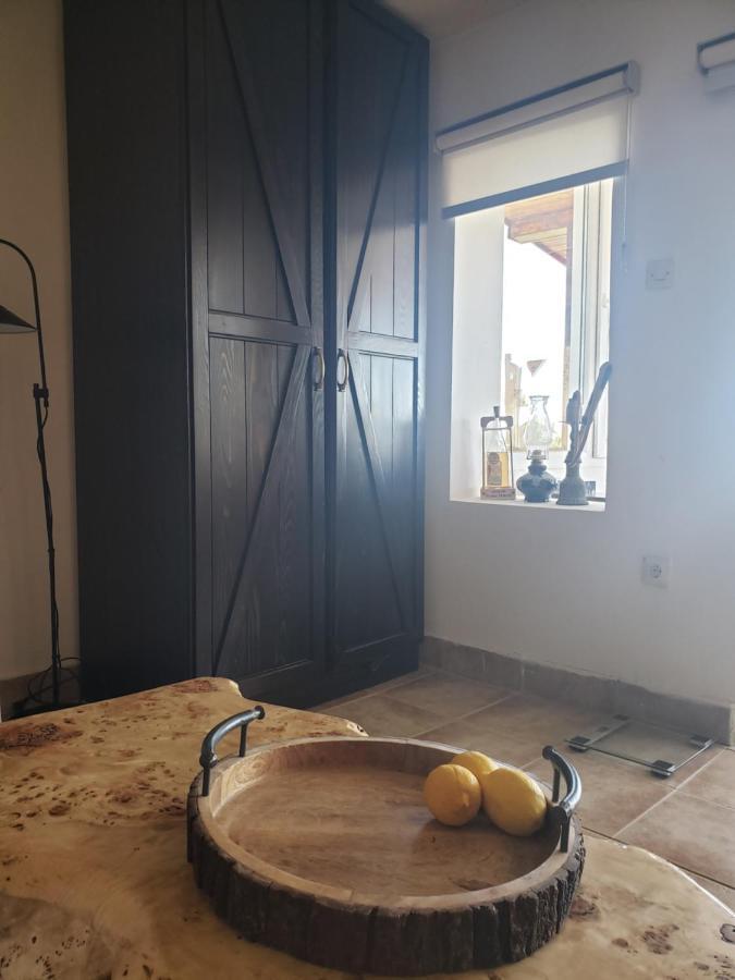 Vila Slankamenka Stari Slankamen المظهر الخارجي الصورة