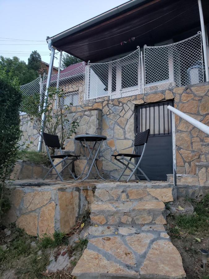 Vila Slankamenka Stari Slankamen المظهر الخارجي الصورة