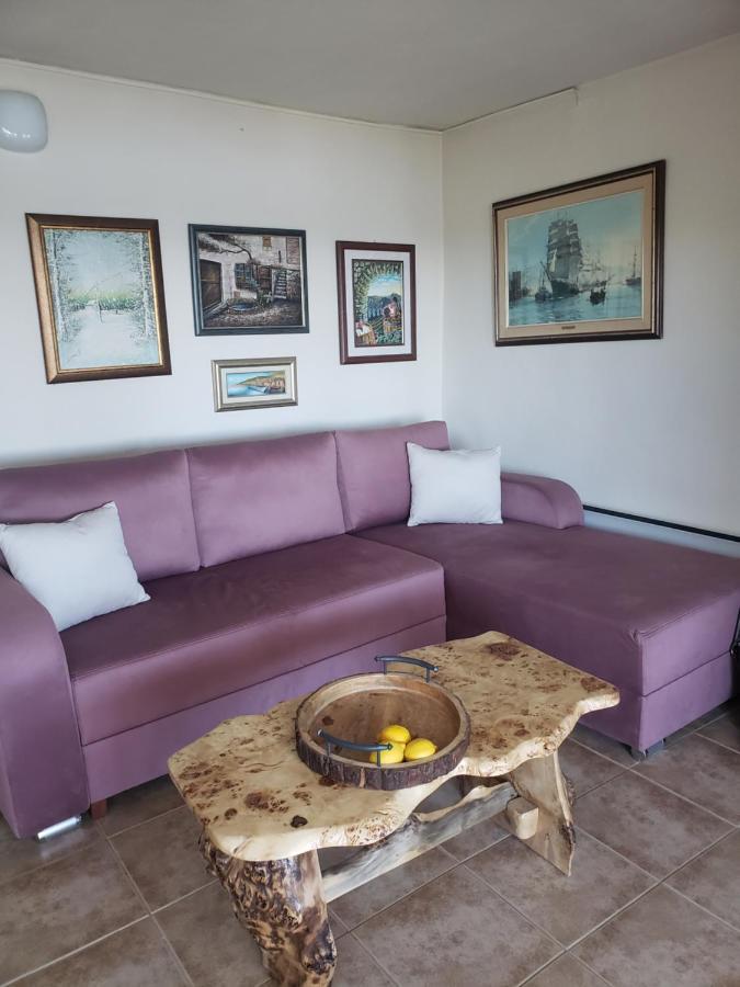 Vila Slankamenka Stari Slankamen المظهر الخارجي الصورة
